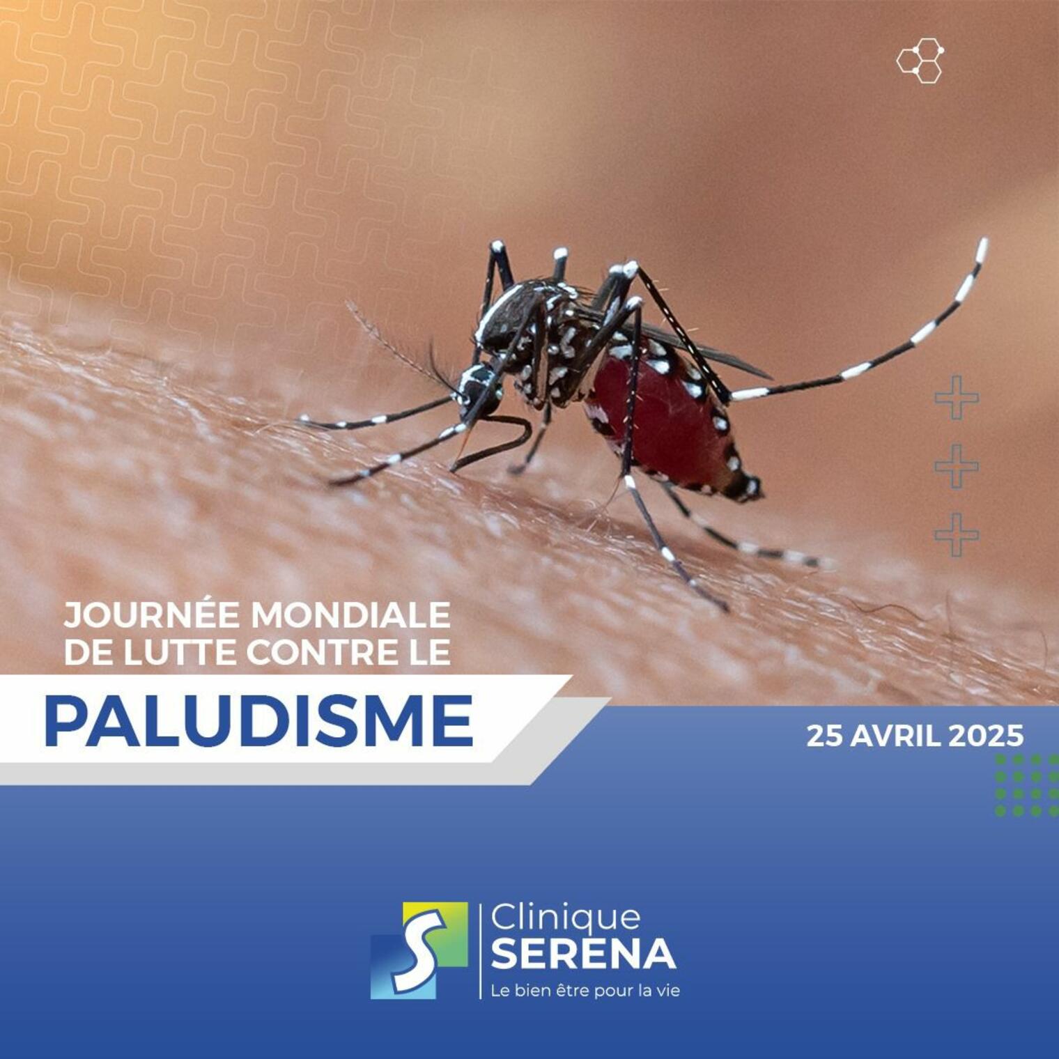 Journée mondiale de lutte contre le paludisme